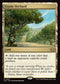 TDC 360 Exotic Orchard