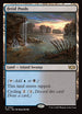 TDC 363 Fetid Pools R