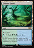 TDC 364 Flooded Grove