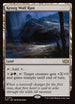 TDC 375 Kessig Wolf Run