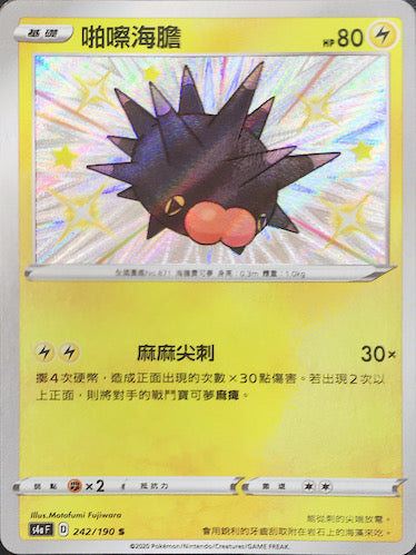 S4aF 242/190 啪嚓海膽 S