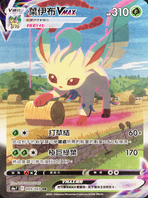 S6aF 089/069 葉伊布VMAX HR