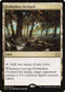 [Foil] 2X2 323 Forbidden Orchard R