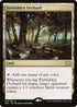 [Foil] 2X2 323 Forbidden Orchard R