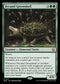 BLB 171 Fecund Greenshell R