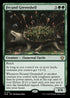 BLB 171 Fecund Greenshell R