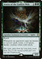 CLB 817 Arasta of the Endless Web R