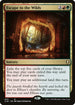 CLB 843 Escape to the Wilds R