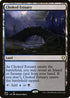 CLB 886 Choked Estuary R