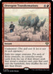 [Foil] CMM 216 Divergent Transformations R