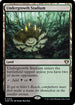 [Foil] CMM 435 Undergrowth Stadium R