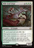 FDN 668 Wilt-Leaf Liege R