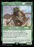 LTR 166 Fangorn, Tree Shepherd R