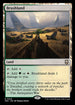 M3C 324 Brushland R