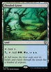 [Foil] M3C 342 Flooded Grove (Ripple Foil) R