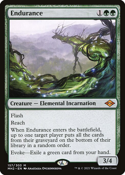 [Foil] MH2 157 Endurance M