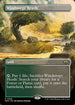 [Foil] MH3 360 Windswept Heath (0360 - Borderless) R