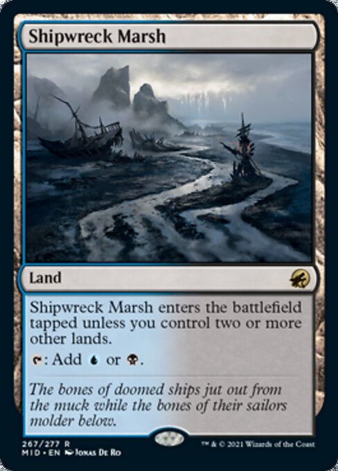 MID 267 Shipwreck Marsh R