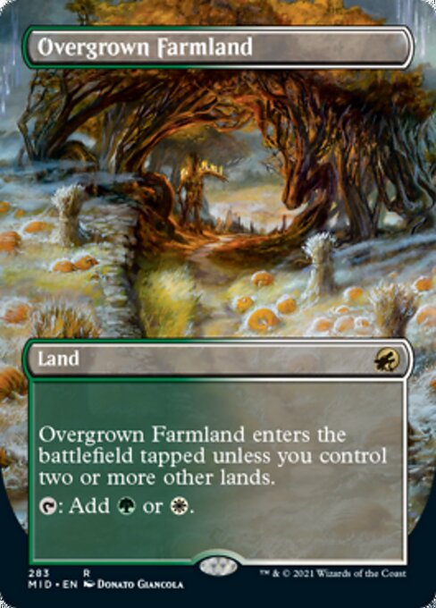 MID 283 Overgrown Farmland (Borderless) R