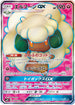 SM10 103/095 エルフーンGX SR