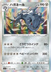 S5R 052/070 ハガネール R