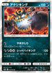 SM11a 046/064 アクジキング R