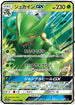 SM12a 010/173 ジュカインGX RR