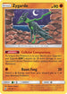 UNM 124/236 Zygarde R