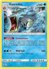 DRM 20/70 Gyarados RH