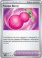 SCR 141/142 Payapa Berry U