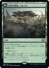 [Janpanese Version] BRO 256 Argoth, Sanctum of Nature R