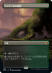 [Foil] [Janpanese Version] BRO 299 Llanowar Wastes (Borderless) R