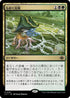 [Janpanese Version] LCI 241 Squirming Emergence R