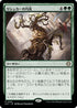 [Janpanese Version] LCC 254 Rishkar's Expertise R