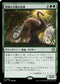 [Janpanese Version] LCC 262 Verdant Sun's Avatar R