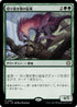 [Janpanese Version] LCC 253 Ripjaw Raptor R