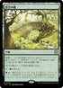 [Janpanese Version] LCC 342 Mosswort Bridge R