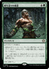 [Janpanese Version] LCC 252 Return of the Wildspeaker R