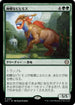 [Janpanese Version] LCC 251 Regal Behemoth R