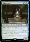 [Janpanese Version] LCC 266 Cold-Eyed Selkie R