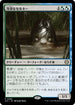 [Janpanese Version] LCC 266 Cold-Eyed Selkie R