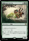 [Janpanese Version] LCC 258 Shifting Ceratops R