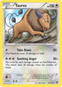 XY 100/146 Tauros R