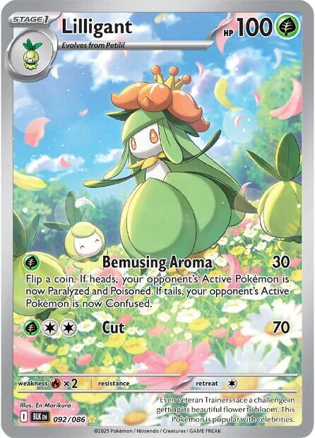 BLK 092/086 Lilligant IR