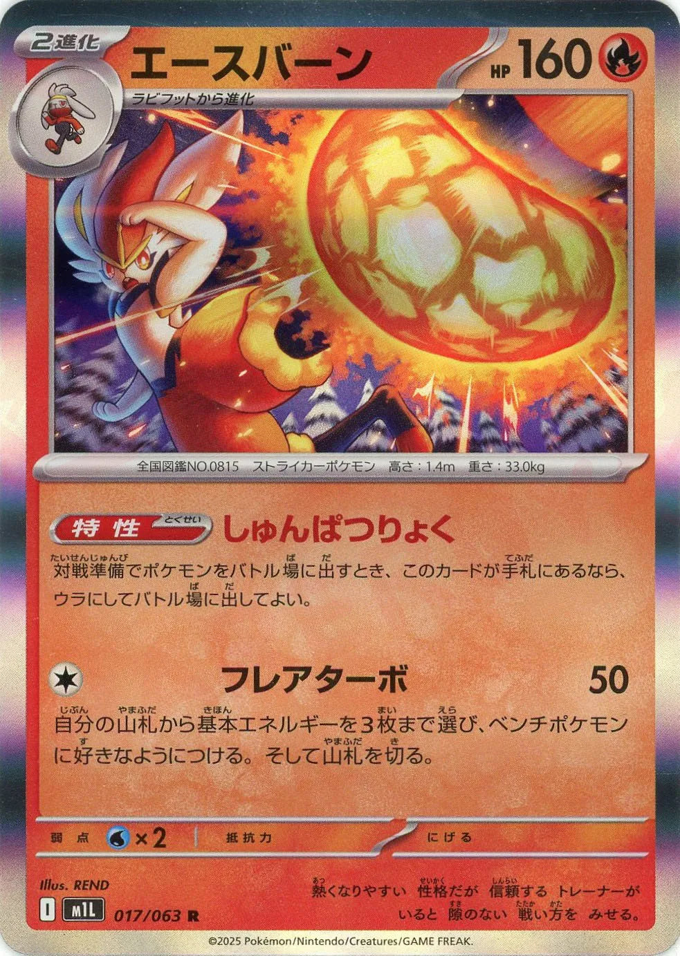 M1L 017/063 エースバーン R