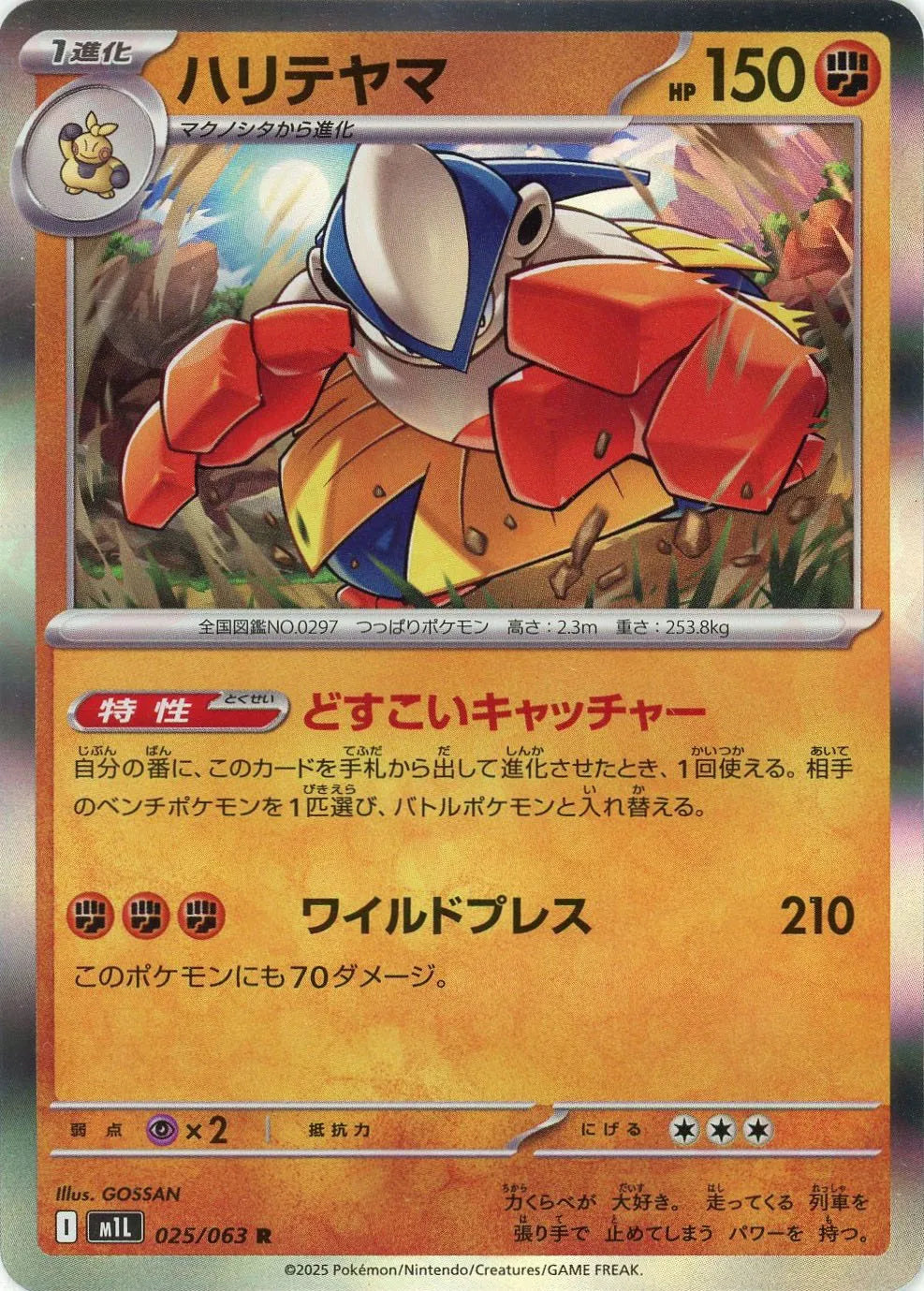 M1L 025/063 ハリテヤマ R