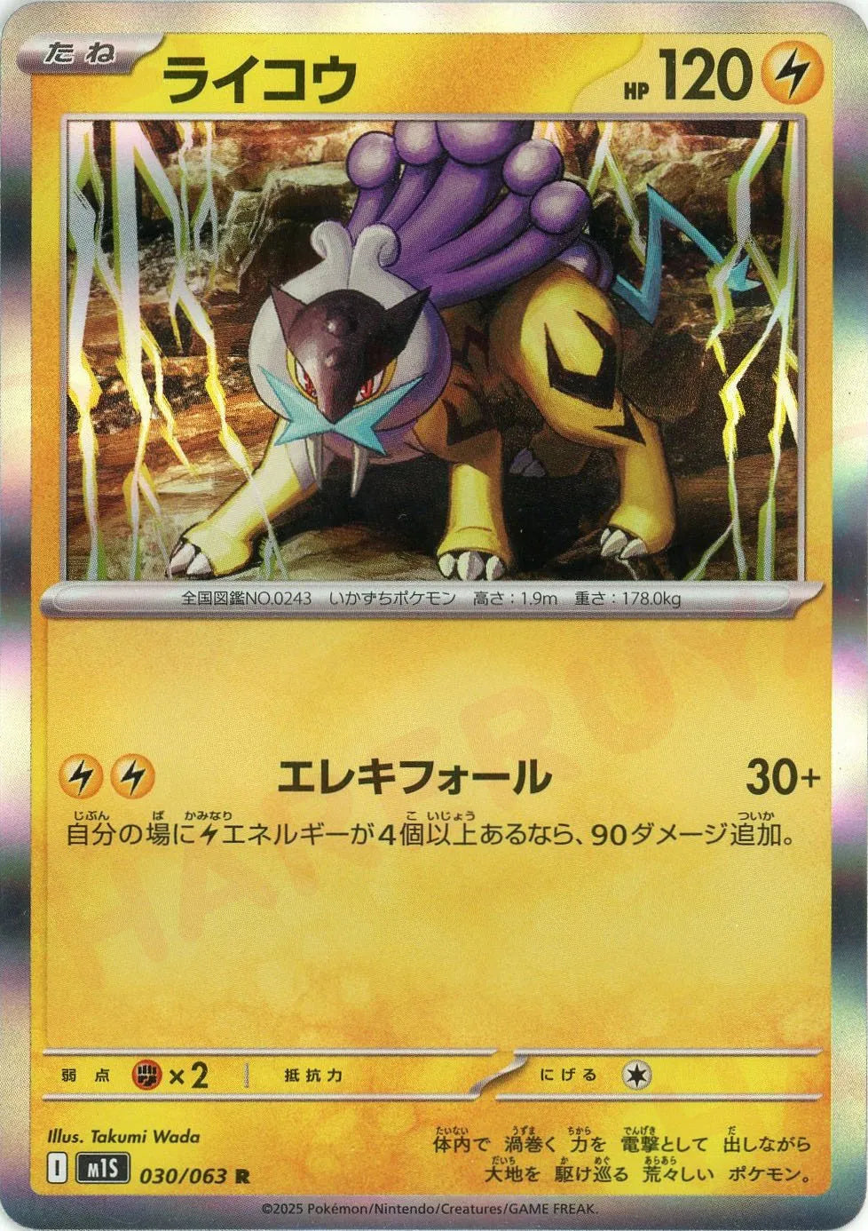 M1S 030/063 ライコウ R