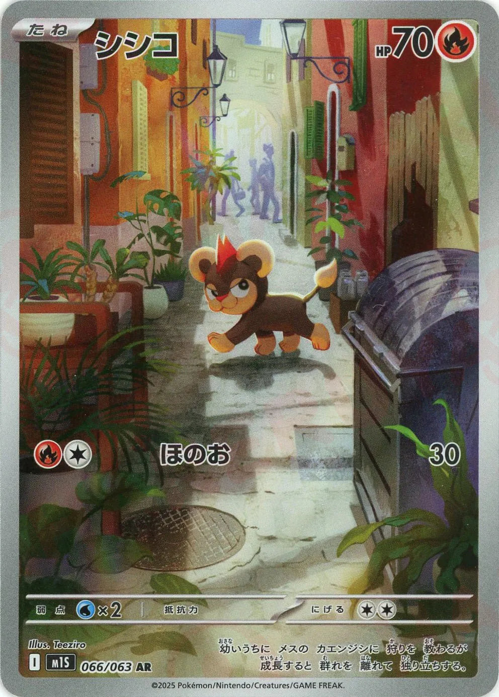 M1S 066/063 シシコ AR