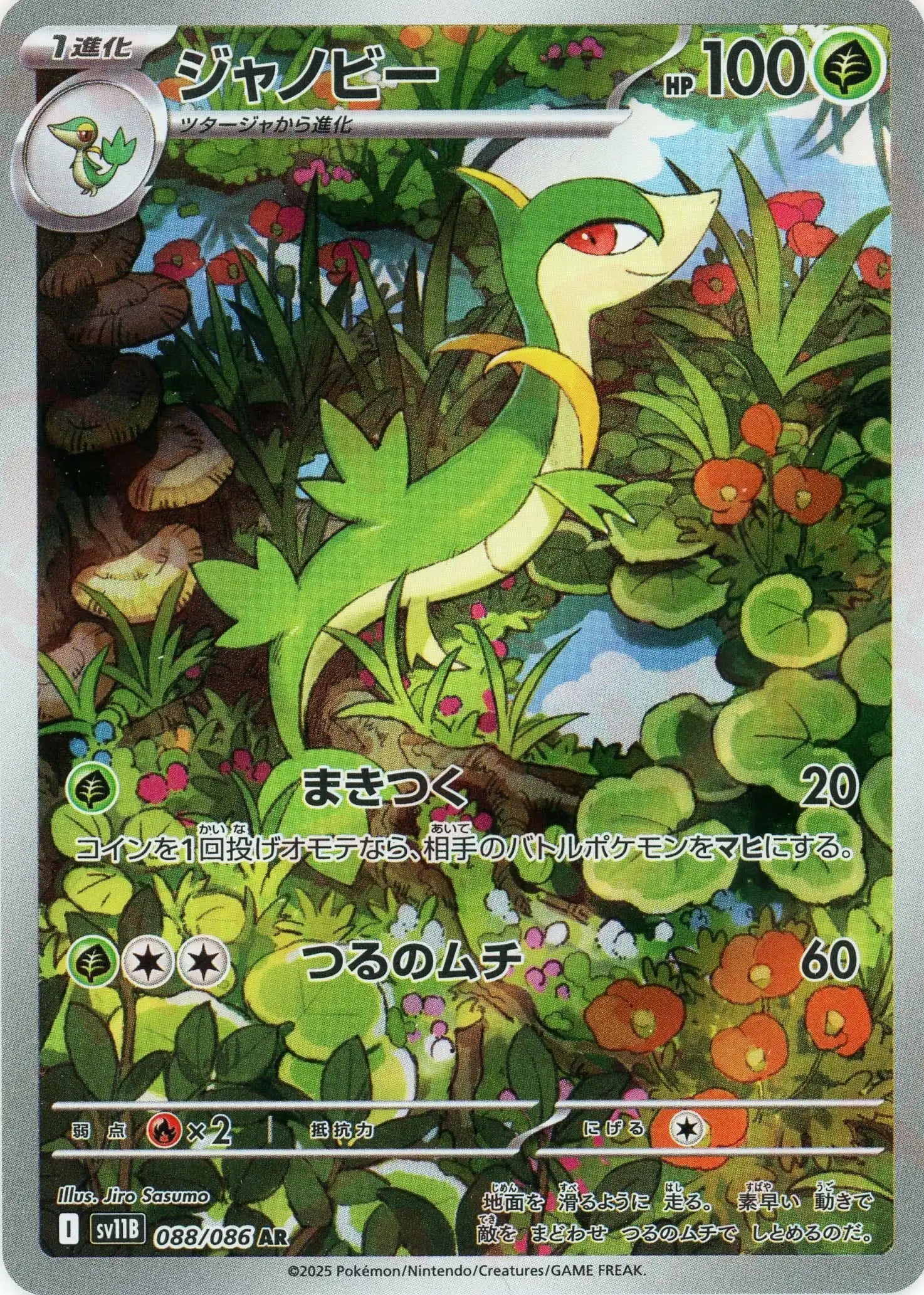 SV11B 088/086 ジャノビー AR