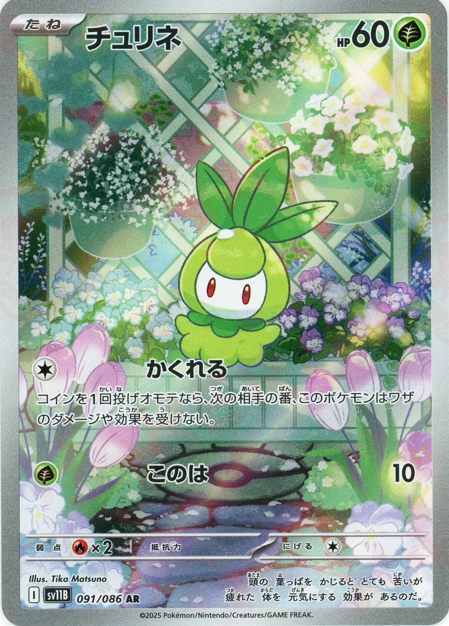 SV11B 091/086 チュリネ AR